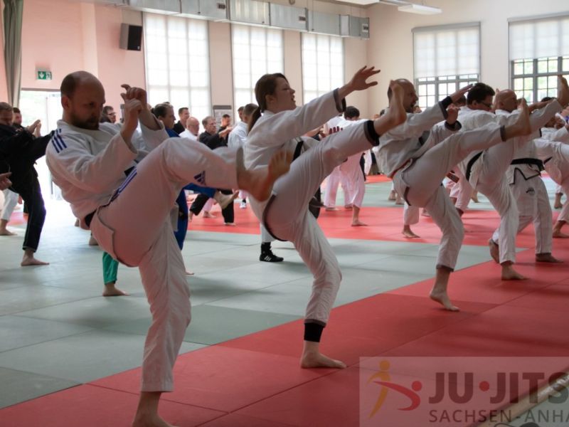 akademie 2018