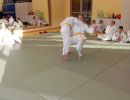 img wa0023