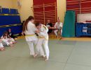 img wa0030