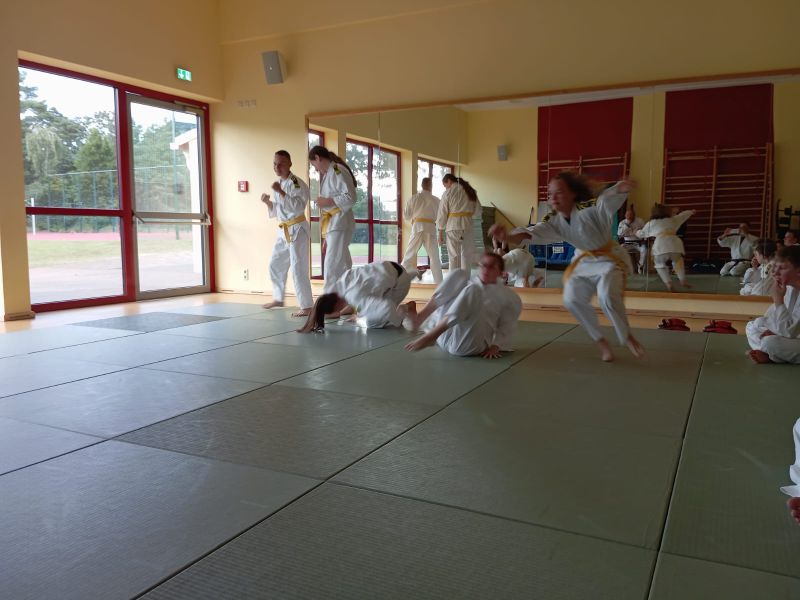 img wa0055