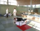 training 2006