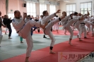 Ju-Jitsu-Akademie 2018